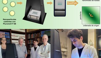 ¿Se puede medir el fosfato en el suelo con la cámara del celular? Un grupo de científicos lo hizo posible