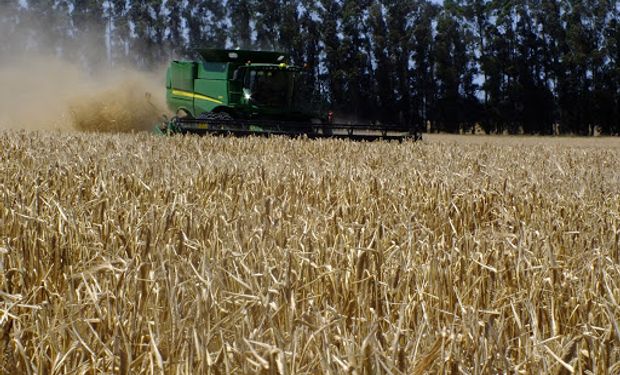Se presentó el Consejo Agroindustrial Argentino: "Queremos llegar al presidente de la Nación"