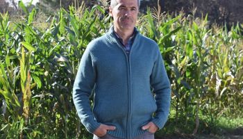 El cultivo de maíz ante el cambio climático