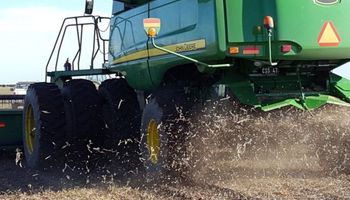 Cosecha: control y ajustes en condiciones adversas