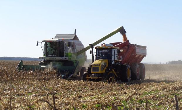 Coronavirus: 7 instituciones agroindustriales elaboraron un protocolo para el transporte seguro de granos