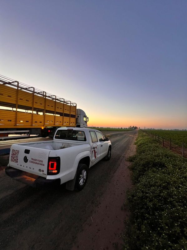 trade food consignataria