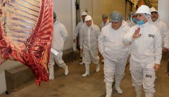 Advierten que por los altos precios de la carne hay una caída del consumo
