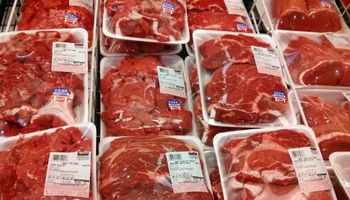 Proponen aplicar impuesto climático a la carne bovina