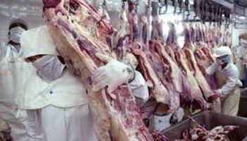 Empezó a retroceder el consumo de carnes