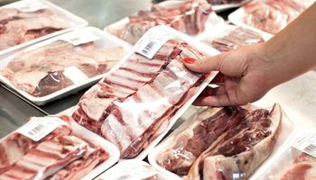 Carne: las familias compran a precios "nuevos" con ingresos "viejos", lo que impacta sobre el destino de la faena