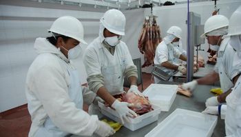 Consumo de carne cayó 8,7 por ciento per cápita