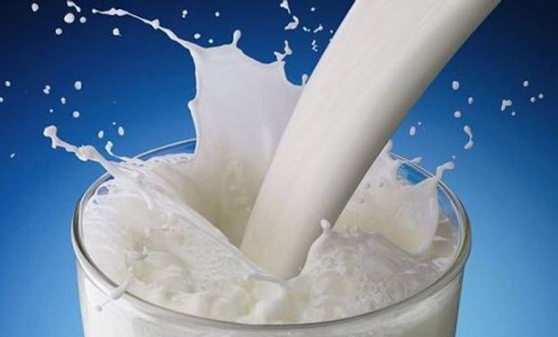 El 78% del consumo es leche blanca, sea líquida o en polvo. Sigue consumo de yogures bebibles (11%) y luego de leches infantiles (6%).