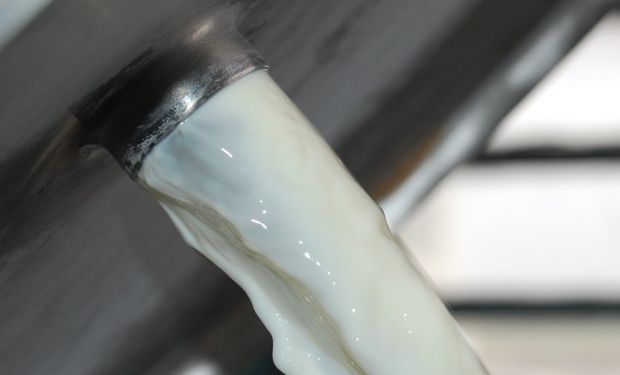 Crece el consumo mundial de lácteos