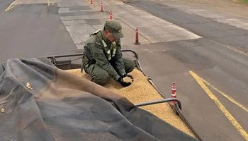 Novo governo argentino desmantela esquema bilionário de contrabando de grãos ao Brasil