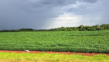 Quinta-feira de feriado deve trazer um contraste inesperado no clima pelo Brasil
