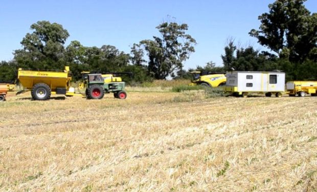 Contratistas rurales trabajan 80% del área sembrada y cosechada.