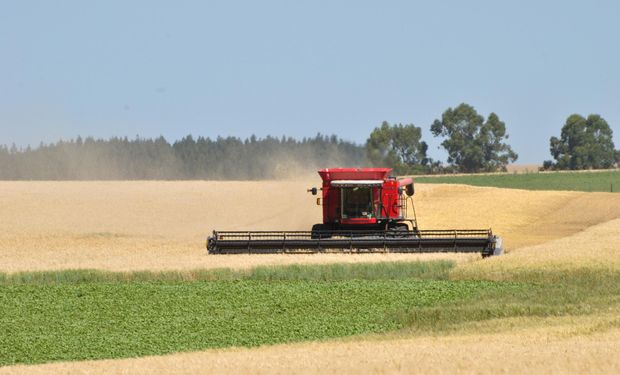 "¿Qué está pasando?": una entidad de productores alerta por el impacto del impuesto a la riqueza en el campo