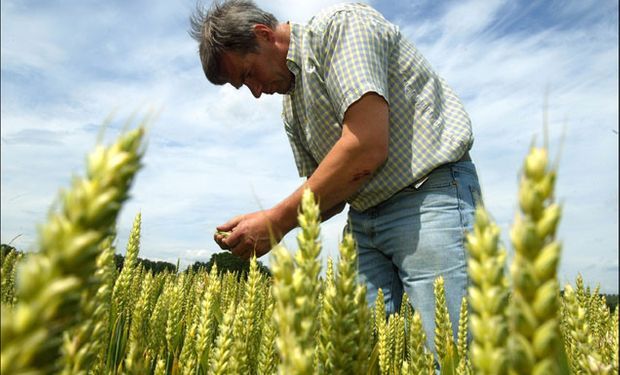 El contrato de trabajo agrario y la transferencia del establecimiento