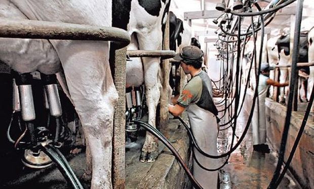 Cuestionan contribución patronal que afecta a empresas lácteas