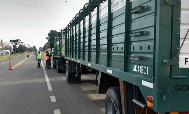 Senasa modificó los requisitos para el movimiento de animales susceptibles a fiebre aftosa