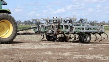 Electrocución, destrucción de semillas y labranza dirigida: maquinarias innovadoras para combatir malezas