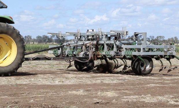 Electrocución, destrucción de semillas y labranza dirigida: maquinarias innovadoras para combatir malezas