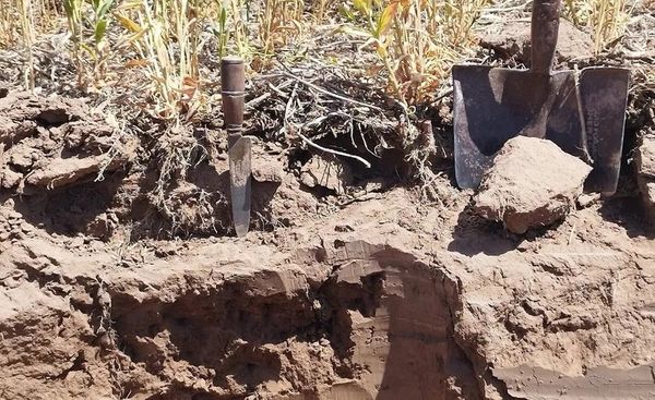 control de napa de suelo