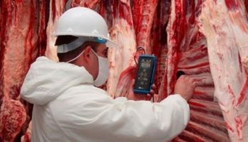 Más controles sobre los frigoríficos