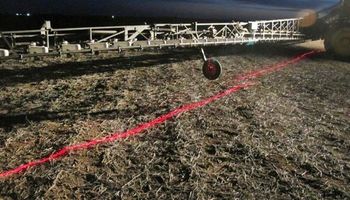 Se impone el control selectivo de malezas