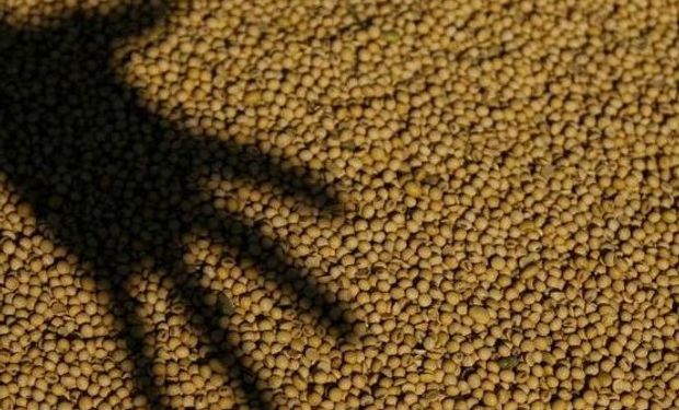 Tras una resolución del anterior gobierno, este año los productores debieron cumplir con declarar el origen de la semilla que usaron en soja.