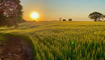 Plano para dobrar a área agrícola do Brasil dá seus primeiros passos