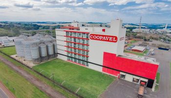 Coopavel capta R$ 79,9 milhões do BNDES para novas unidades de armazenagem no Paraná