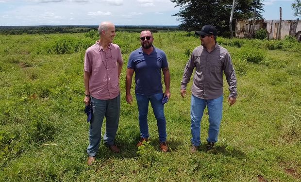 Cooperados compram fazenda no Tocantins para acompanhar expansão da Castrolanda