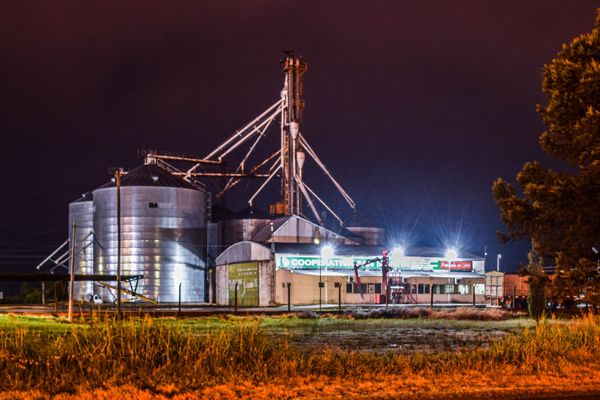 cooperativa acopio granos