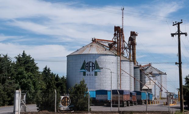 Serán impugnadas por las cooperativa.