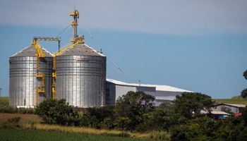 Após anos de altas, cooperativas agropecuárias tiveram queda de faturamento em 2023