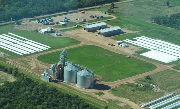 Con cifras récord, por qué la caída de grandes operadores terminó siendo negocio para las cooperativas del agro