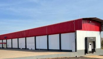 Cooperativa inaugura frigorífico de peixe e amplia mercado de tilápia no Paraná