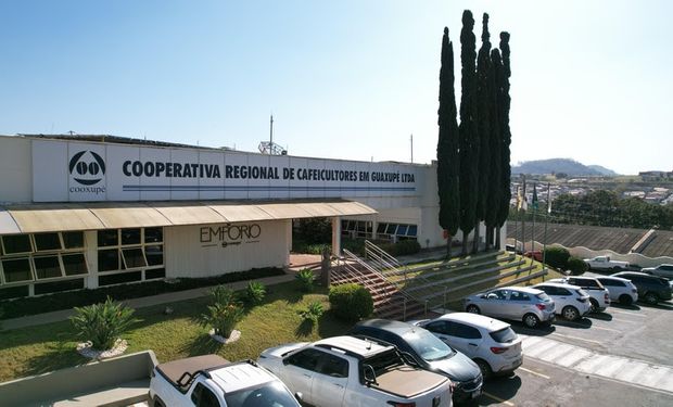 Cooxupé registra resultado recorde e amplia distribuição aos cooperados
