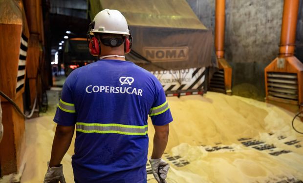 Os projetos desenvolvidos pelos colaboradores buscam reduzir desperdícios e aumentar a eficiência, segurança e a produtividade