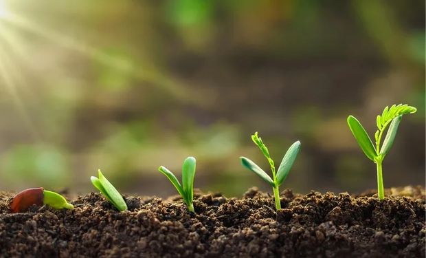 Rainbow lança quatro bioinsumos para manter crescimento em ritmo chinês