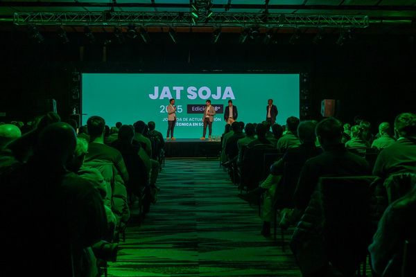 jat soja 2025