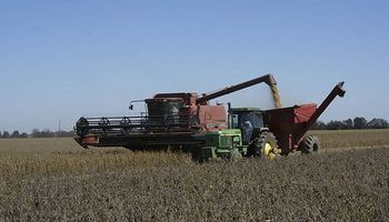 Más del 65% de los ingresos por exportación fueron por el sector agropecuario