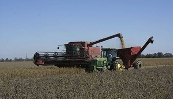 Entre Ríos: la cosecha de soja de primera avanzó un 89 % y los granos presentan bajo peso y caída del poder germinativo