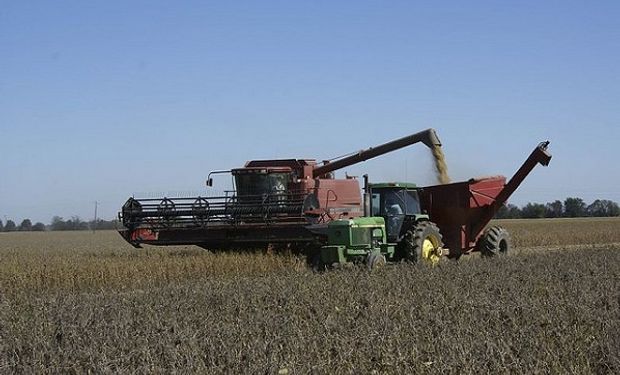 Entre Ríos: la cosecha de soja de primera avanzó un 89 % y los granos presentan bajo peso y caída del poder germinativo