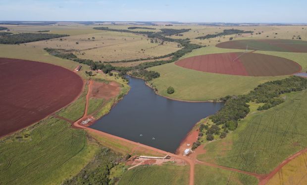 Na sua fazenda, dos 5,1 mil hectares de cultivos de soja, milho, trigo, feijão e batata, 1,1 mil hectares foram destinados à produção da oleaginosa. (Foto - Divulgação Fazenda Pombo)