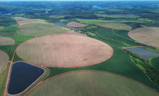 Plano é escalar o programa para 200 mil hectares pelos próximos cinco anos. (Foto - Divulgação Fazenda Pombo)