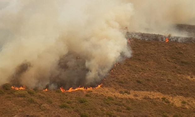 Declaran la emergencia agropecuaria nacional para Córdoba, Chaco y Corrientes por incendios y sequía