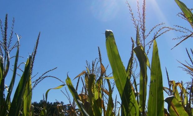 Advierten por ola de calor en el centro del país, con temperaturas cercanas a los 40 grados