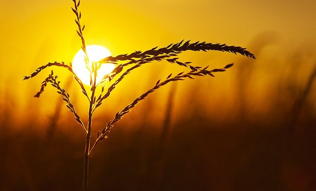 La bioeconomía es una inmensa oportunidad para nuestro país.