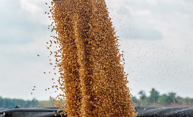 Estimaciones previas al informe del USDA.