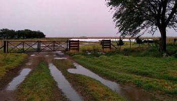 Pronostican lluvia para el fin de semana y el campo espera que se reactive el trigo y aumente la siembra de maíz