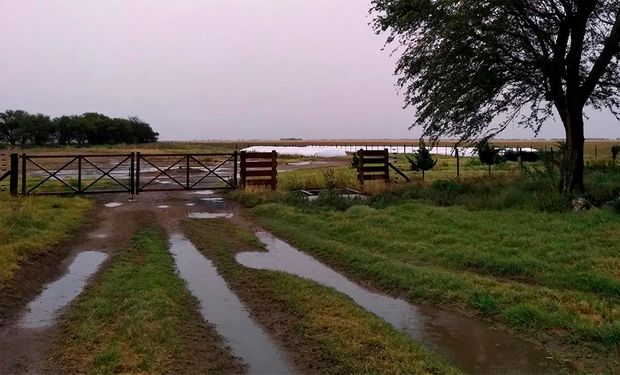 Pronostican lluvia para el fin de semana y el campo espera que se reactive el trigo y aumente la siembra de maíz