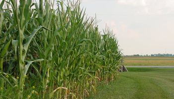 Alerta por lluvias y tormentas: qué dice el pronóstico para la zona núcleo
